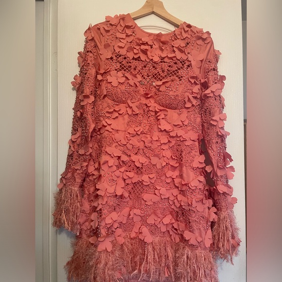 ASOS LUXE 3D floral embellished eyelet mini dress with faux feather trim - Picture 8 of 13